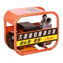 G-DSU-50电机自吸泵